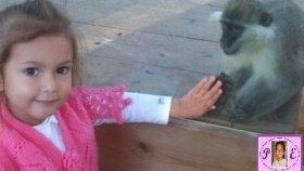 Antalya Hayvanat Bahçesi Gezintimiz. . Çok Büyük Ve Modern Bir Hayvanat Bahçesi Zoopark Antalya