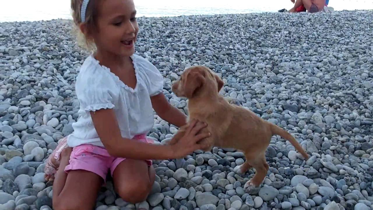 köpek çocuk