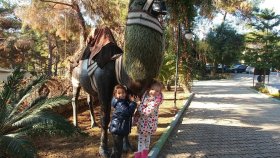 Elif ve Melisa Parkta, Zıpzıp Oyun Alanı ve Pıtır Palyaço Abla İle Eğlenceli Bir Gün