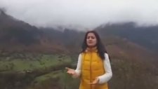 Aynur Bolat - Karadır Kaşların Ferman Yazdırır