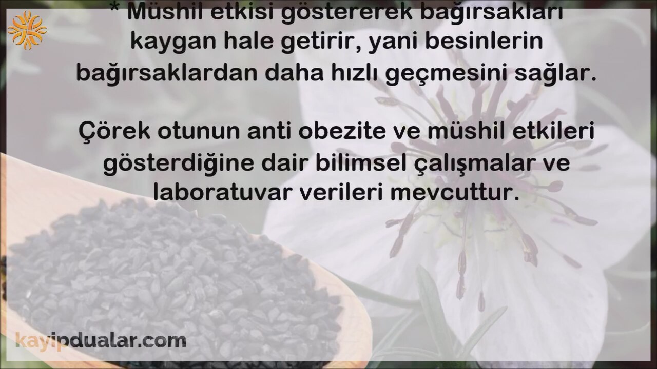 Çörek Otu ile Zayıflamak Çörek Otu ile Zayıflamak