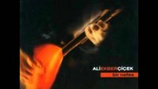 Ali Ekber Çiçek - Gönül Gel Seninle Muhabbet Edelim / Folk Lute of Anatolia