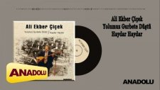 Ali Ekber Çiçek - Yolumuz Gurbete Düştü / Haydar Haydar (LP) Full Albüm