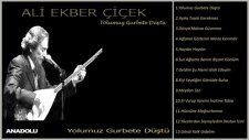 Ali Ekber Çiçek - Yolumuz Gurbete Düştü (Official Lyric Video)