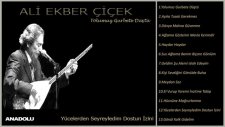 Ali Ekber Çiçek - Yücelerden Seyreyledim Dostun İzini (Official Lyric Video)