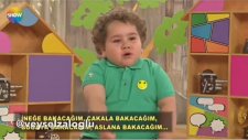 Çitos Efe Amerikan Dublajı Çocuktan Al Haberi
