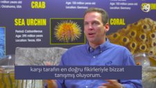 Dr. Jeff Zweerink: