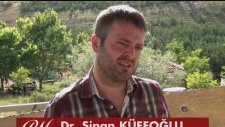 Cambridge’de Görev Yapan Türk Akademisyen'in Sitem Etmesi