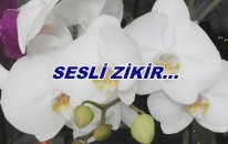 Sesli Zikir...