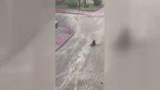 Sel Sularına Kapılan Vatandaşın Sürüklenmesi