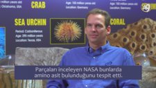 Dr. Jeff Zweerink: “ Dünya'nın Asıl Etkileyici Yanı, Farklı Amino Asitlerin Böylesi Kompleks Biyomol