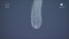 Soyuz Ms-05'in Fırlatılışı - Roscosmos (28.07.2017)