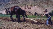 Hatçem Çaylar Yaptın mı