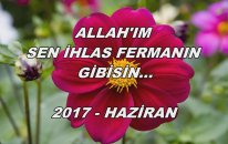 Allah'ım Sen İhlas Fermanın Gibisin...