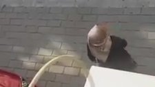 İçinden Ejderha Çıkan Teyze