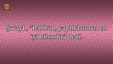 Şuara Suresi - Mishary Rashid al Afasy | fussilet Kuran Merkezi