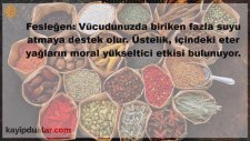 Çabuk Zayıflatan Bitkiler