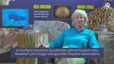 Dr. Anjeanette Roberts: Canlıların Değişmediğini Gösteren Fosiller