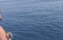 Antalya olta ile kuzu avı