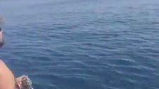 Antalya olta ile kuzu avı