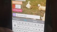 Periscope Yayını Açan Çoban