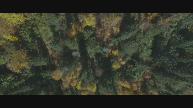 The Lure (2016) Fragman