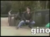Arap Müziğinde Devrim..