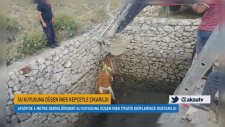 Su Kuyusuna Düşen İnek Kepçeyle Çıkarıldı