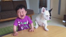 Elindeki Yemeği Köpek Yiyince Ağlamaya Başlayan Bebek