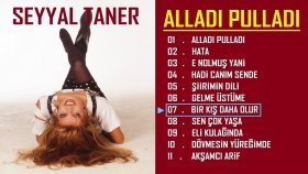 Seyyal Taner - Bir Kış Daha Olur Seyyal Taner - Bir Kış Daha Olur
