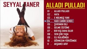 Seyyal Taner - Hadi Canım Sende Seyyal Taner - Hadi Canım Sende