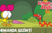 Mini Miniler - Ormanda Gezinti
