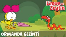 Mini Miniler - Ormanda Gezinti