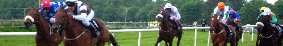 At Yarışı