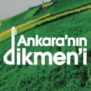 Ankara'nın Dikmen'i