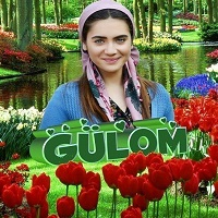 GüLom75